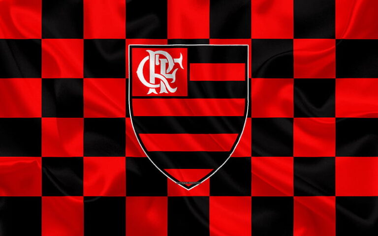 The Fan Culture of Flamengo FC